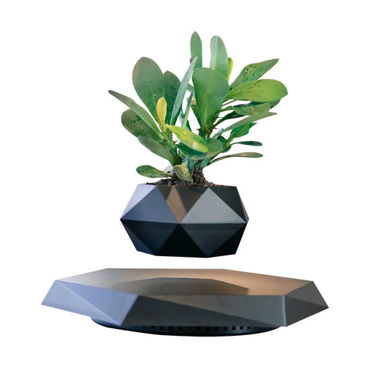 Levitating Bonsai Planter - Black Color - Anti-Gravity Magnetic Floating Pot for Plants & Home Décor