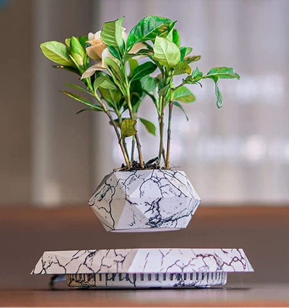 Levitating - Magnetic Floating Marble Pot for Home & Office Decor