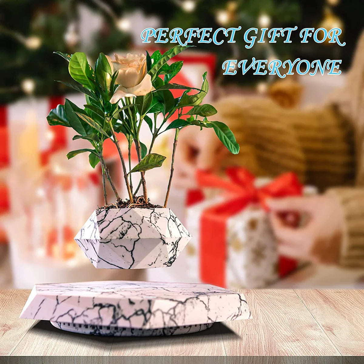 Levitating - Magnetic Floating Marble Pot for Home & Office Decor